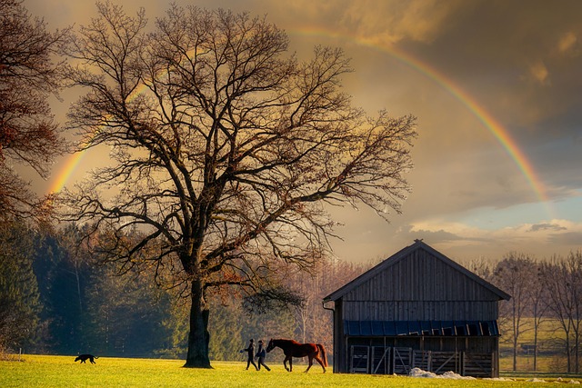 Animals Under the Rainbow