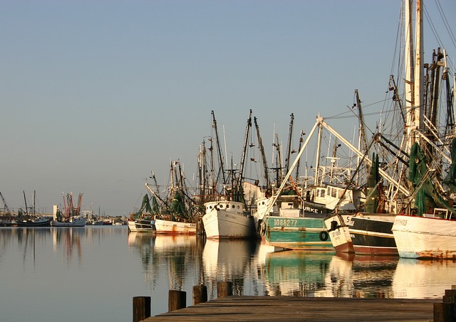 Boat Docked at a Shore