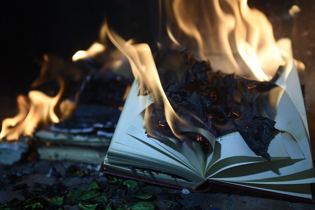 Burning books suggests a fear of losing knowledge 