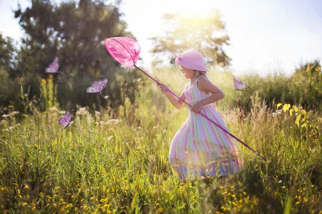 Chasing butterflies signifies the pursuit of elusive opportunities. 