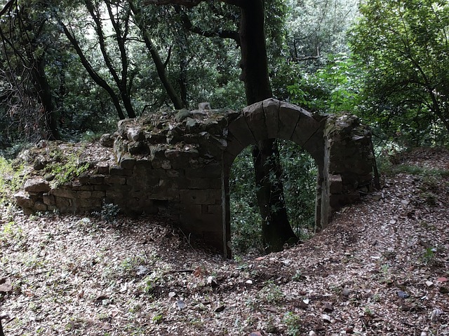 Stumbling upon an ancient ruin signifies a connection with your roots and heritage. 