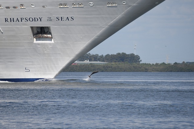 If dolphins guide a ship in your dream