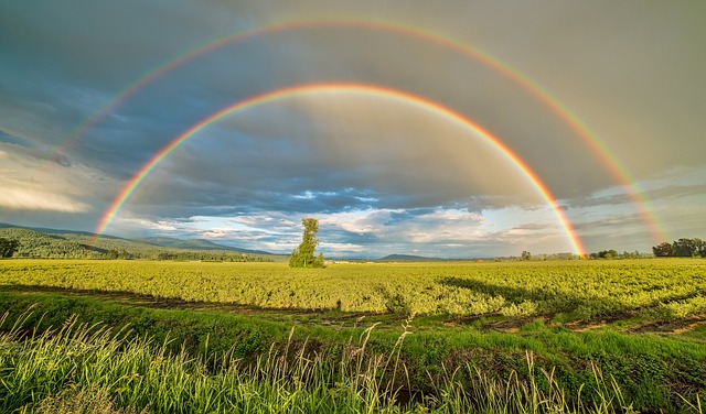 Double Rainbow Delight