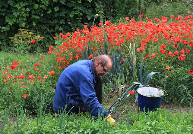 Endless weeding tasks can be both daunting and insightful.