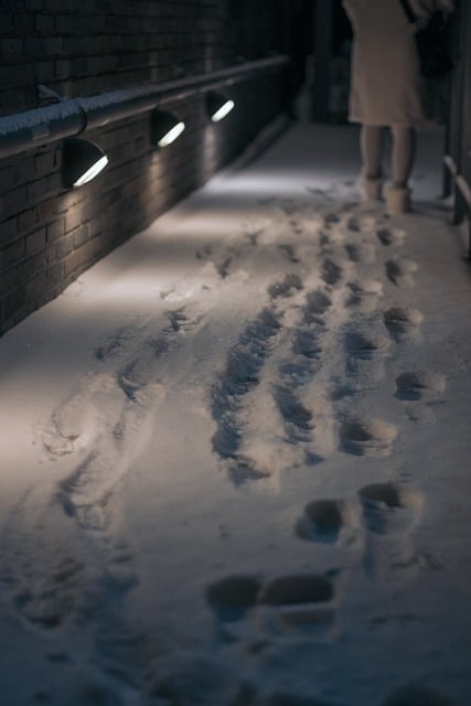 Footprints in the Snow