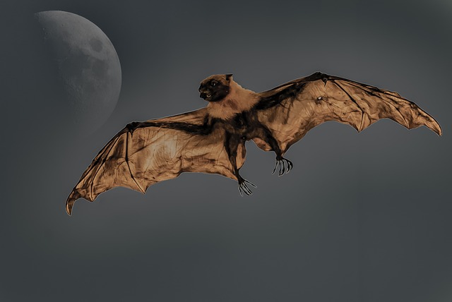 Encountering a giant bat in a dream 