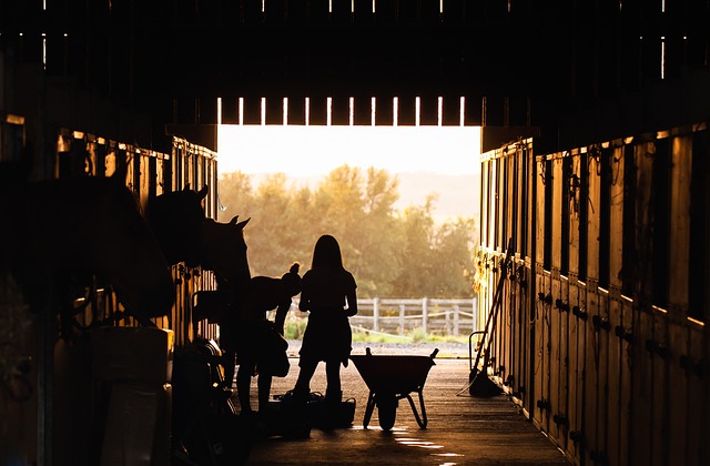 Horse in a Stable