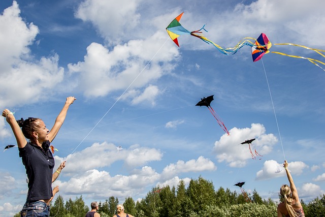 Kite Soaring in the Breeze