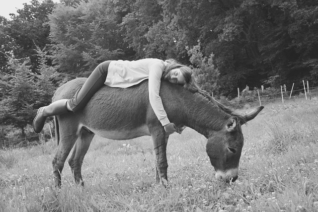 Riding a Donkey