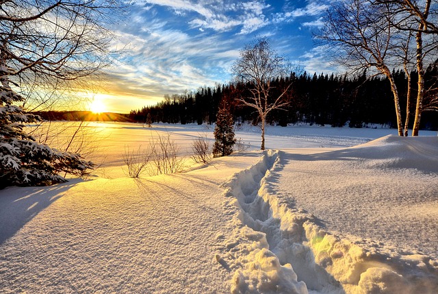 Snow-Covered Landscape