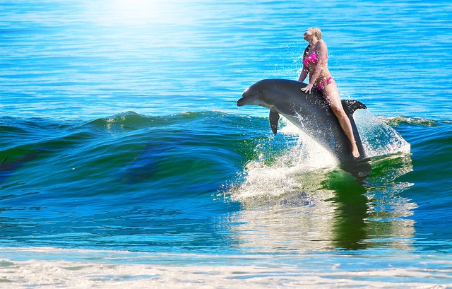 Swimming with dolphins in crystal-clear waters 