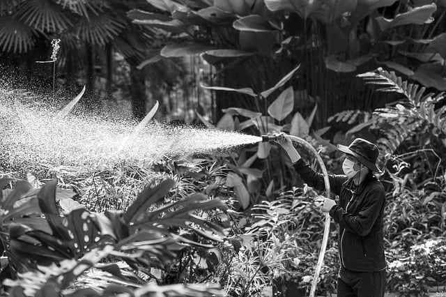 Watering a Garden