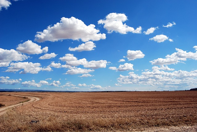 A Sky Filled with Fluffy White Clouds