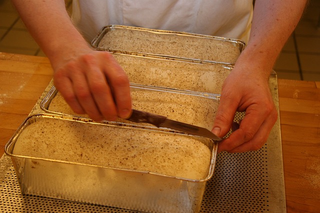 Bread with Mold