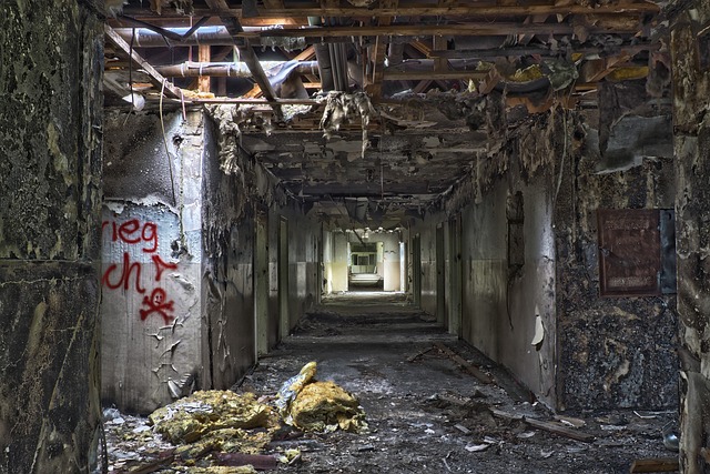 Ceiling Collapse