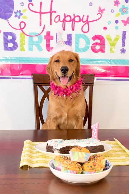 Celebrating Your Dog's Birthday