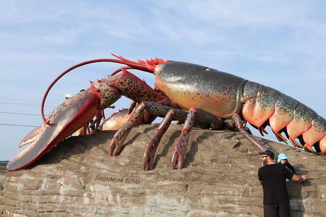 Encountering a Giant Lobster