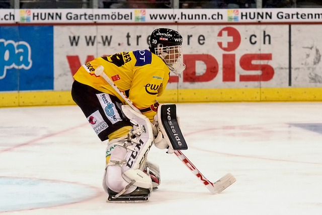  Hockey Game on Ice