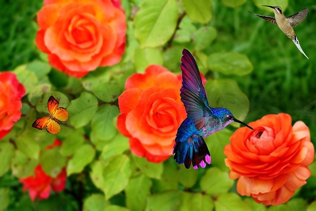 Hummingbird in a Colorful Garden