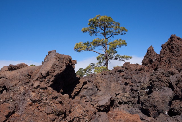 Lava Turning into Solid Rock