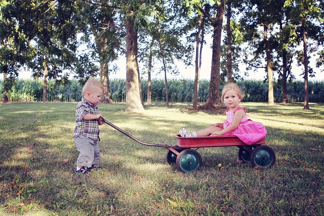 Playing Together in a Meadow