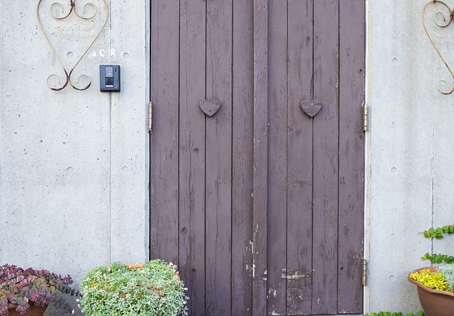  Purple Doors