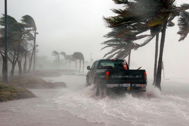  Riding the Waves of the Hurricane