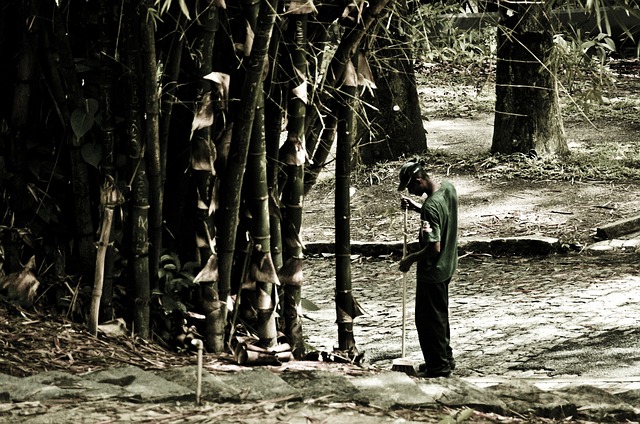 Sweeping Leaves in a Forest