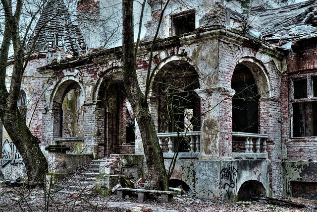 The Abandoned Manor