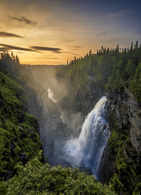 Witnessing a Waterfall in a Lush Forest