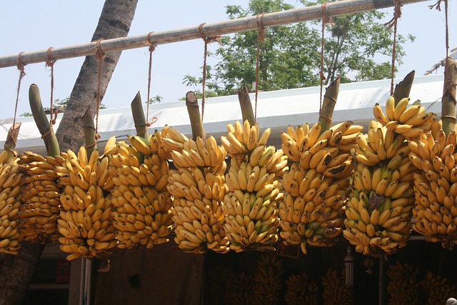 Bunch of Bananas