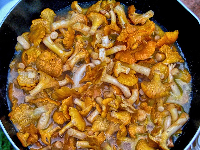 Cooking with White Mushrooms