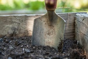 Digging in the Dirt