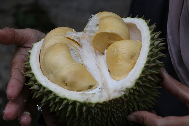 Eating Ripe Durian Alone