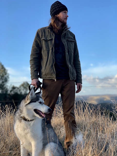 Exploring the Wilderness with a Siberian Husky