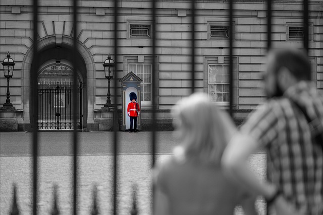 Gazing at the Palace from Afar