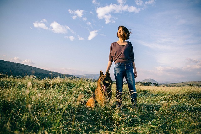 Guarding the Home with a German Shepherd