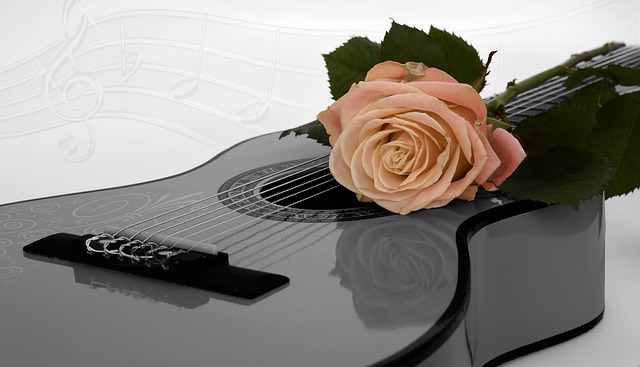 Guitar as a Gift