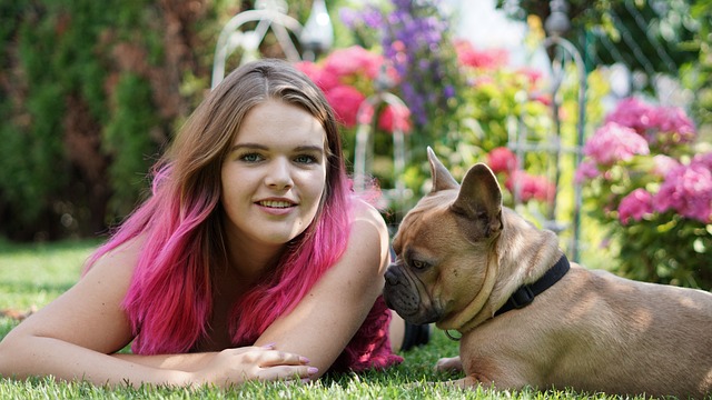 Napping in the Sun with a Bulldog