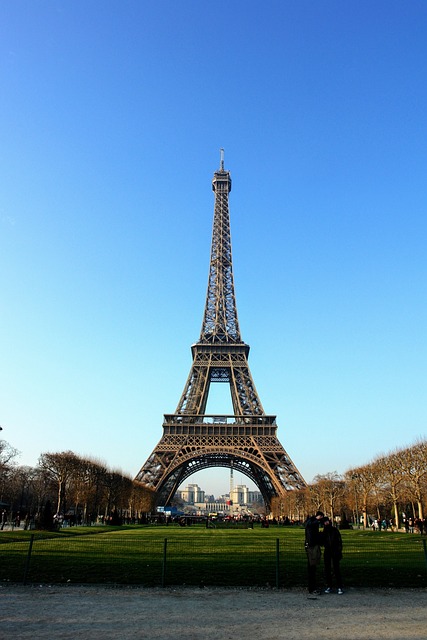 Proposing Marriage at the Eiffel Tower