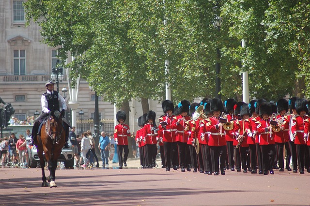  Witnessing a Royal Celebration