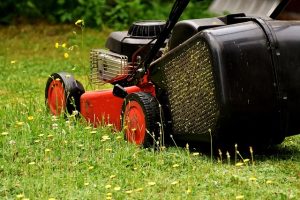 Mowing a Field of Wildflowers