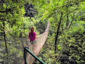 Rope Bridge