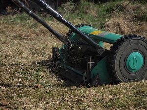 Trimming Grass in a Neglected Garden