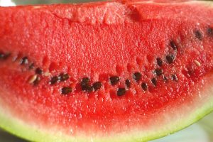 Watermelon Seeds