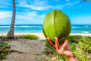 Cracking Open a Coconut