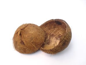 Seeing a Coconut Shell