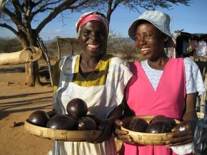 Sharing Avocado with Others