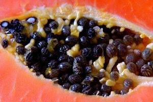 Papaya Seeds