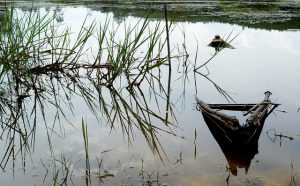 Sinking Boat in Calm Waters